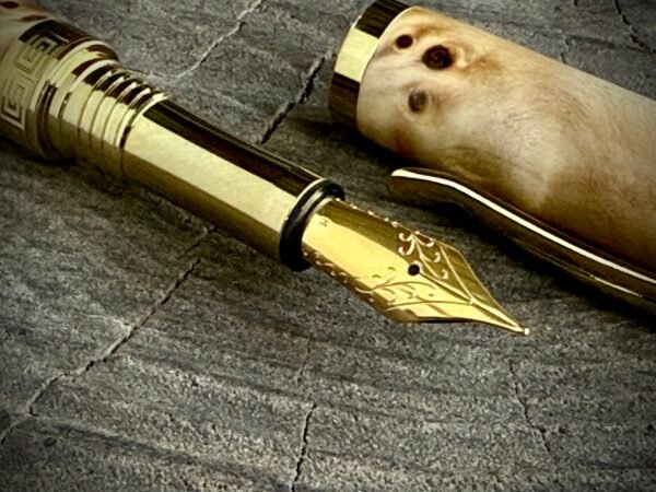 Cottonwood Burl Fountain Pen