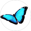 The Energy E. profile picture